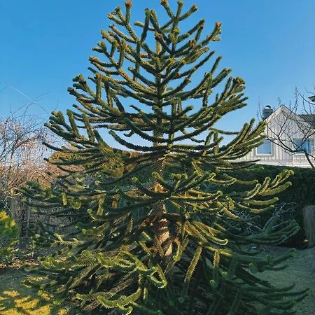 Spacious Near Coast Path, And Center Horten